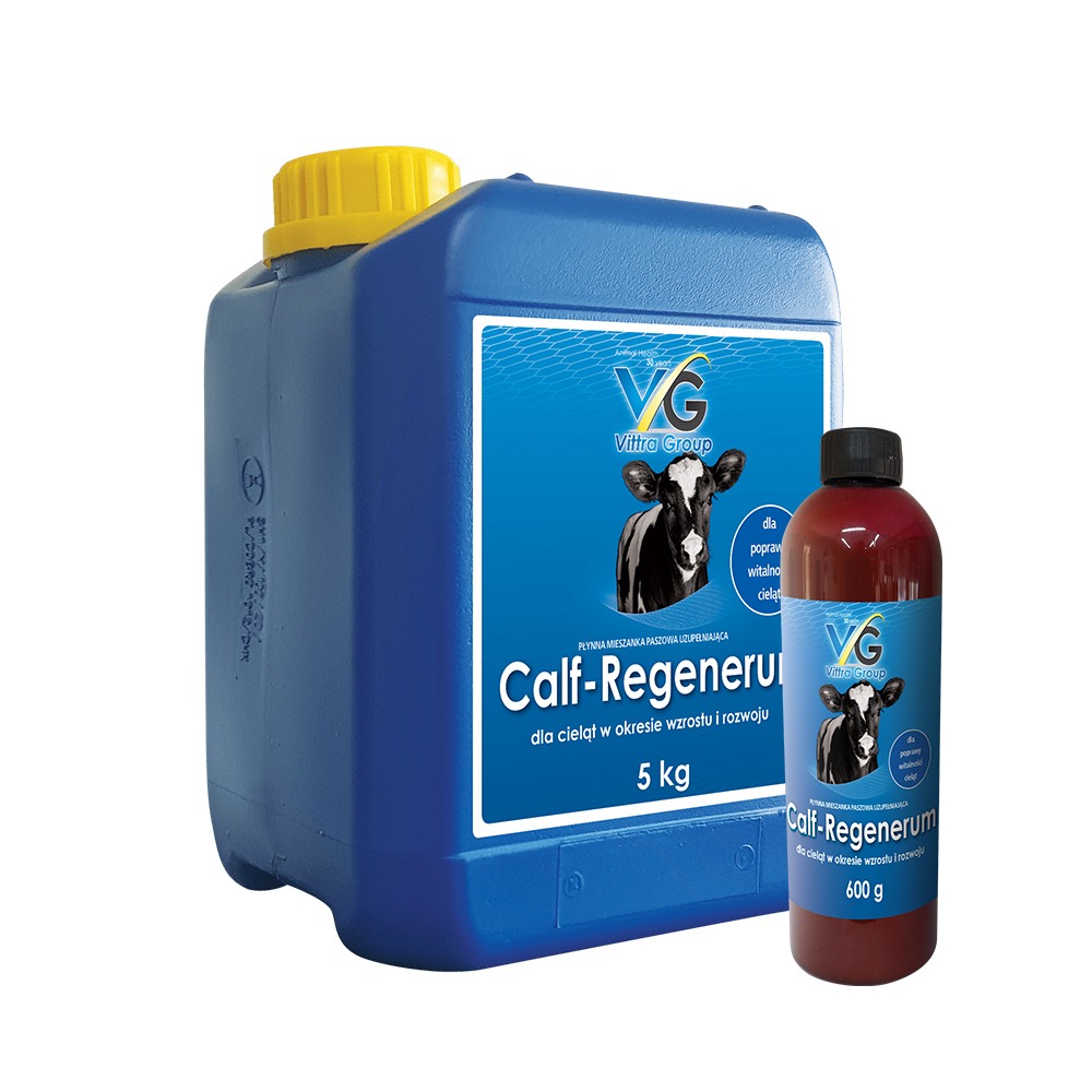 Calf-regenerum