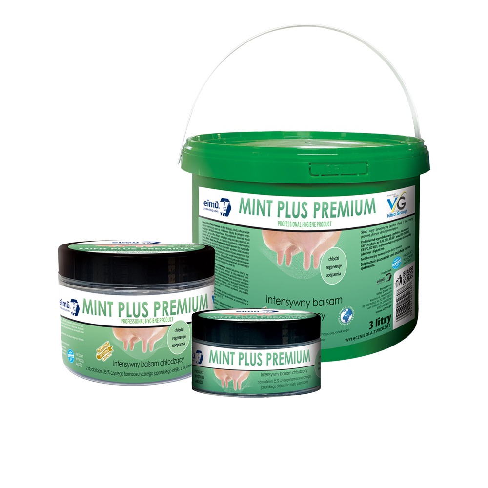 KGM-Mint-Plus-premium