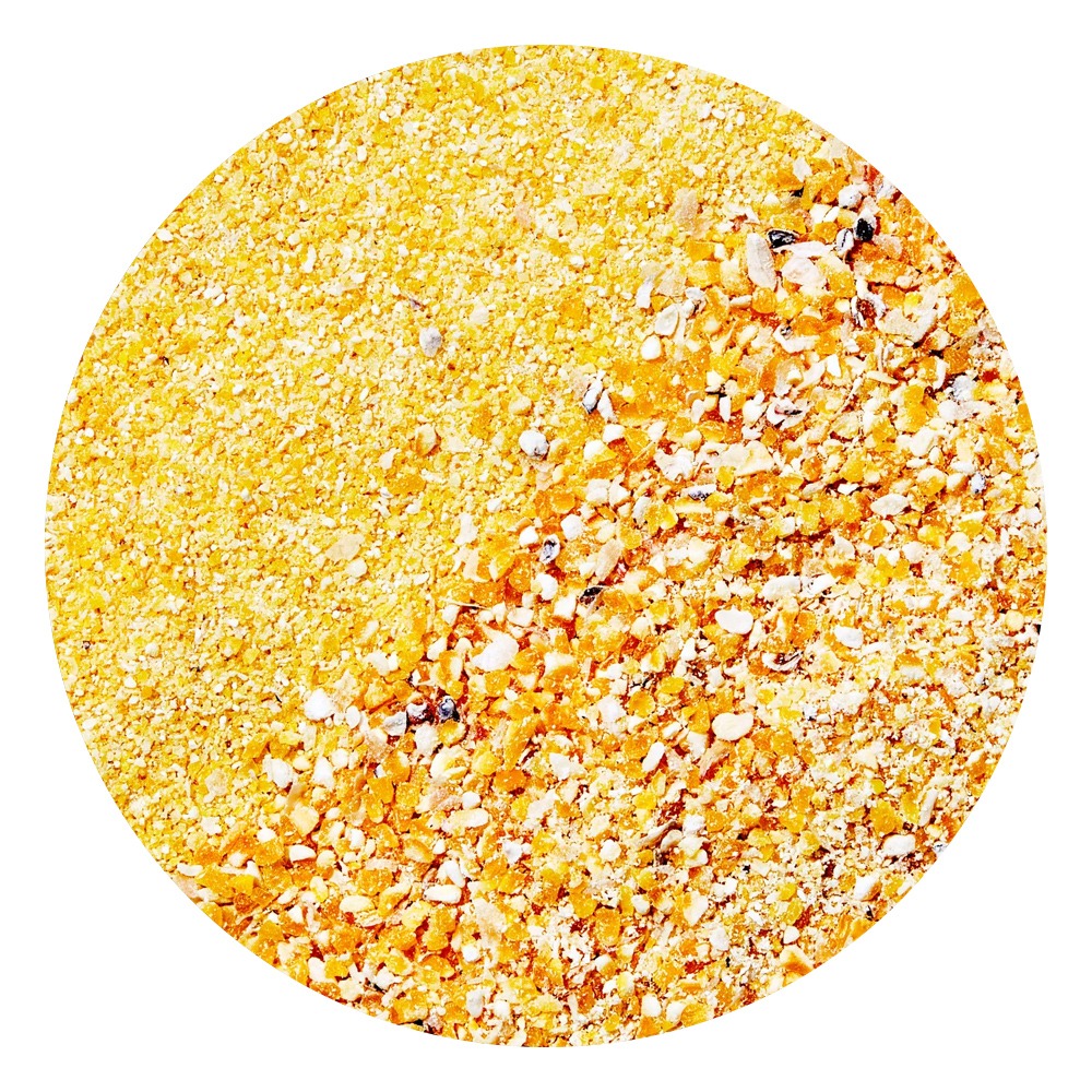 Malta kukurūza | KGM